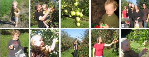 Elul 5770 Apple Orchard
