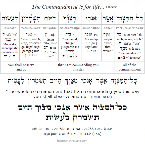 Deuteronomy 8:1  Hebrew Grammar