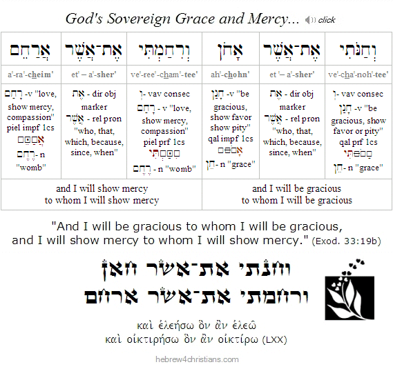 Exodus 33:19 Hebrew Grammar