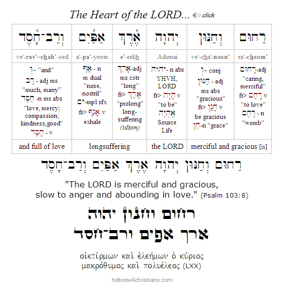 Psalm 103:8  Hebrew Grammar