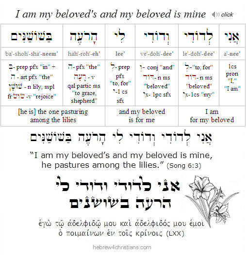 Song of Songs 6:3  Hebrew Grammar