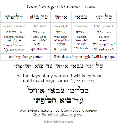 Job 14:14b Hebrew Analysis
