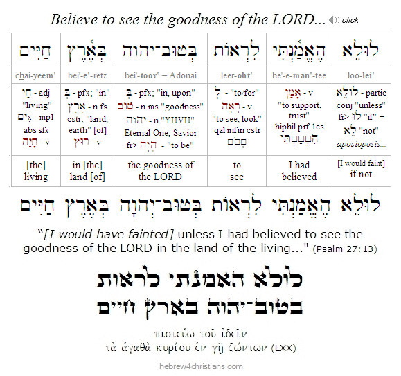 Psalm 27:13 Hebrew Analysis