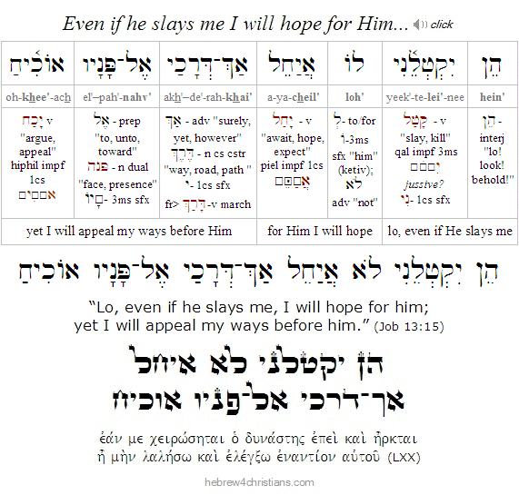 Job 13:15 Hebrew Analysis