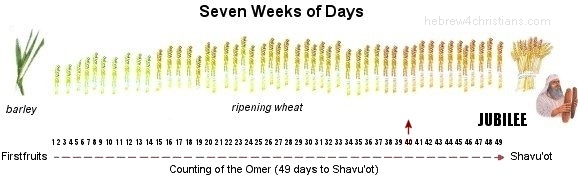 49 Days of Omer