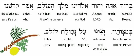 Blessing while waving lulav