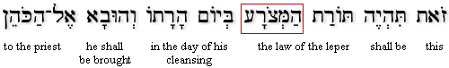 Leviticus 14:2