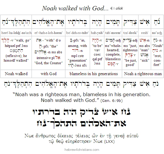 Gen. 6:9b Hebrew Lesson