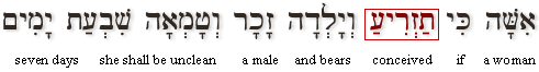 Leviticus 12:2