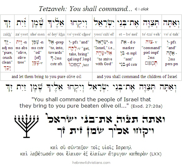 Exodus 27:20a Hebrew Analysis