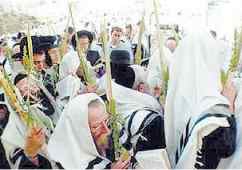 Hoshana Rabba Processional