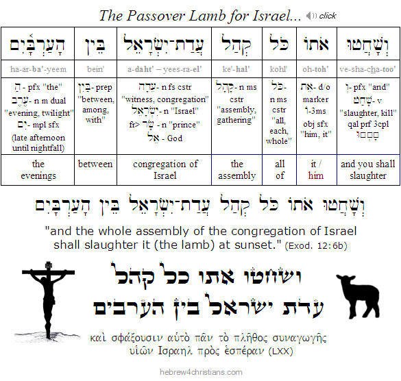 Exodus 12:6 Hebrew Lesson