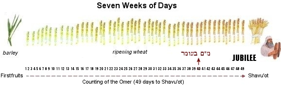 49 Days of Omer