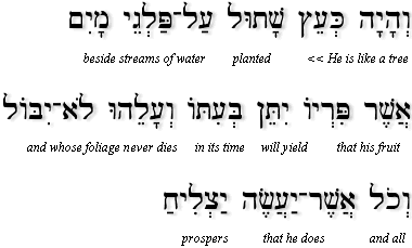 Pasuk Gimmel