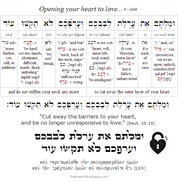 Deut. 10:16 Hebrew Lesson