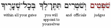 Deut 16:18a