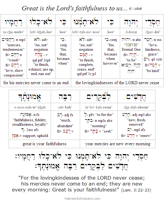 Lam 3:22 Hebrew Analysis