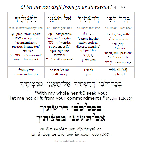 Psalm 119:10 Hebrew lesson