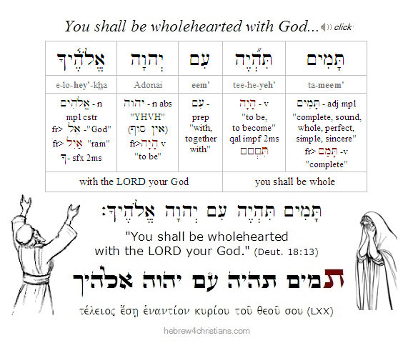 Deut. 18:13 Hebrew analysis