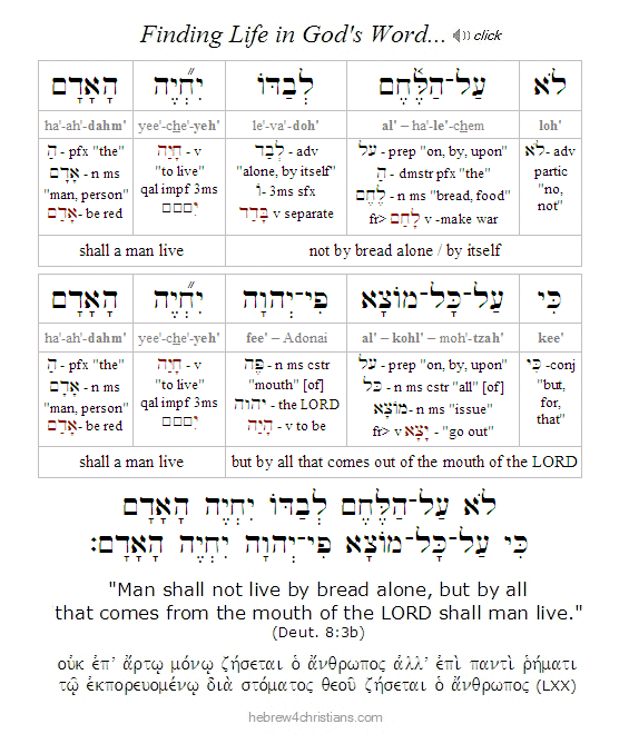 Deut. 8:3b Hebrew lesson