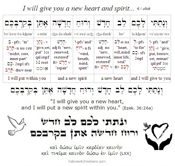 Ezekiel 36:26 Hebrew Lesson