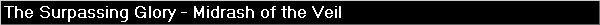 The Surpassing Glory - Midrash of the Veil
