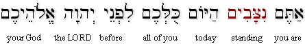 Deut 29:9[10h] (BHS)