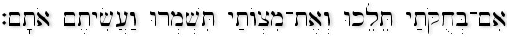 Leviticus 26:3 (BHS)