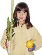 A girl holds the lulav and etrog