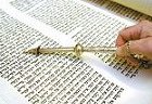 Torah Portions