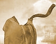 Psalm 81 by Irv Davis, (c)2000