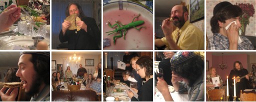 Passover 5771 - collage 2