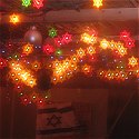 Shake Your Lulav!