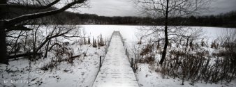 Photo by John J Parsons