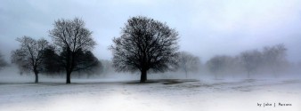 Photo by John J Parsons