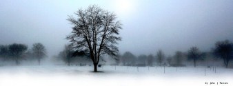 Photo by John J Parsons