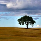 Photo by John J Parsons