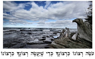 Photograph by John J Parsons