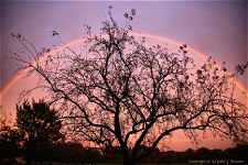 Photo by John Parsons