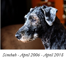 Simchah