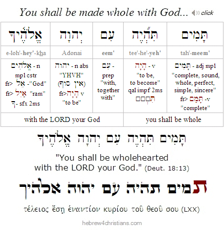 Deuteronomy 18:13  Hebrew Grammar