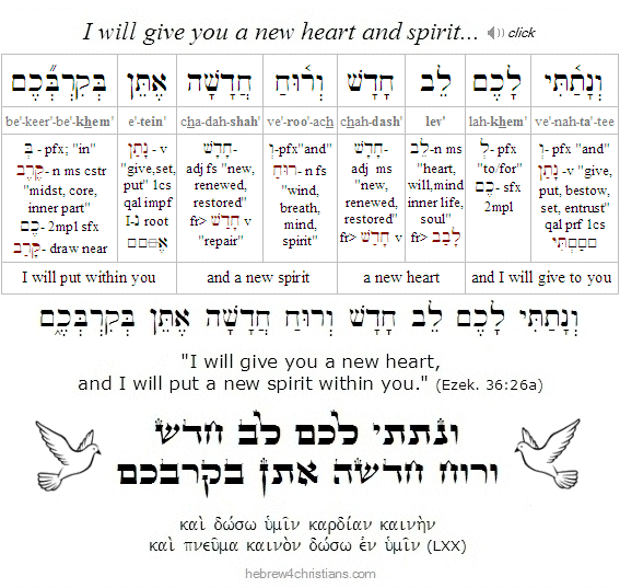 Ezekiel 36:26  Hebrew Grammar