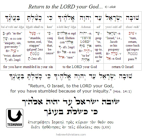 Hosea 14:1  Hebrew Grammar