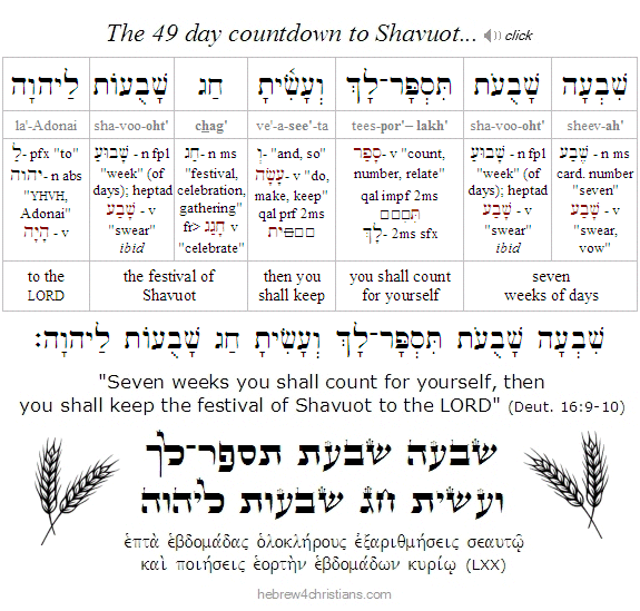 Deut. 16::9-10 Hebrew 