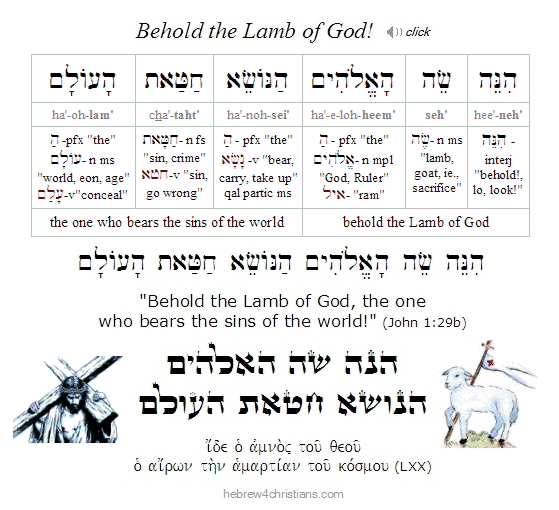 John 1:29 Hebrew lesson