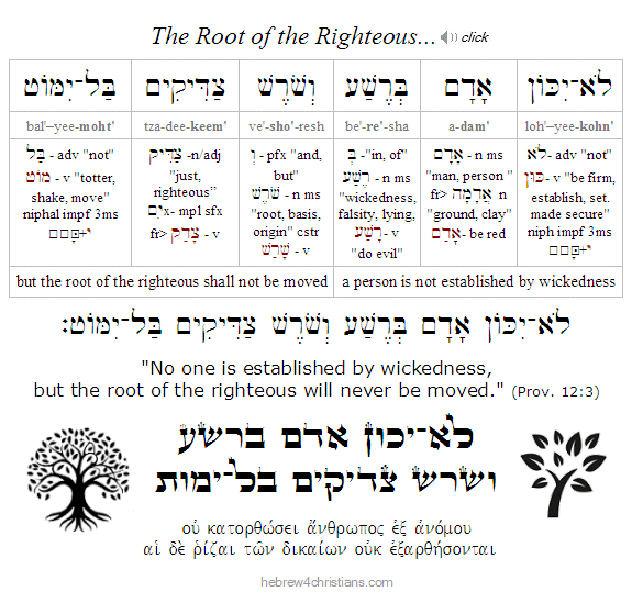 Proverbs 12:3 Hebrew Lesson