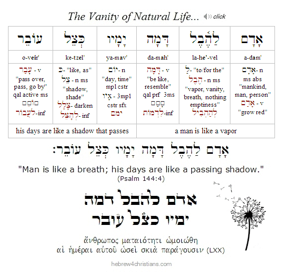 Psalm 144:4 Hebrew Lesson