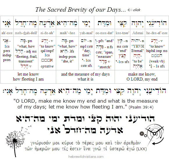 Spirit & Psalm - Thanksgiving Day, 2024 - Year B - Gospel Acc. - Booth 