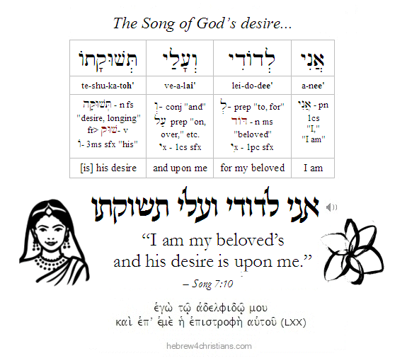 Song 7:10 Hebrew lesson