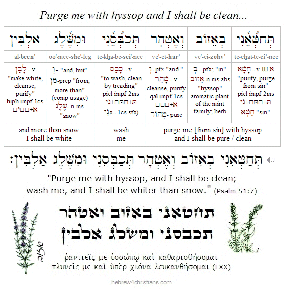 Psalm 51L7 Hebrew lesson